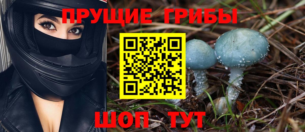 Галлюциногенные грибы GOLDEN TEACHER Ржев